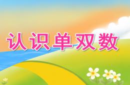 大班數學公開課認識單雙數PPT課件