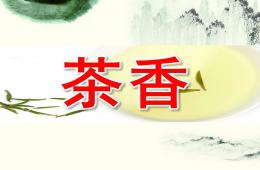 大班社會茶香PPT課件