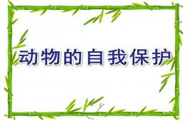 大班科學動物的自我保護PPT課件