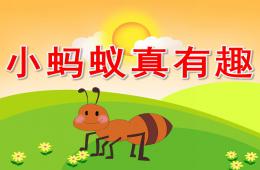 小班聽(tīng)說(shuō)游戲小螞蟻真有趣PPT課件
