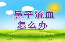大班健康鼻子流血怎么辦PPT課件