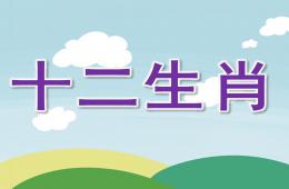 大班十二生肖PPT課件