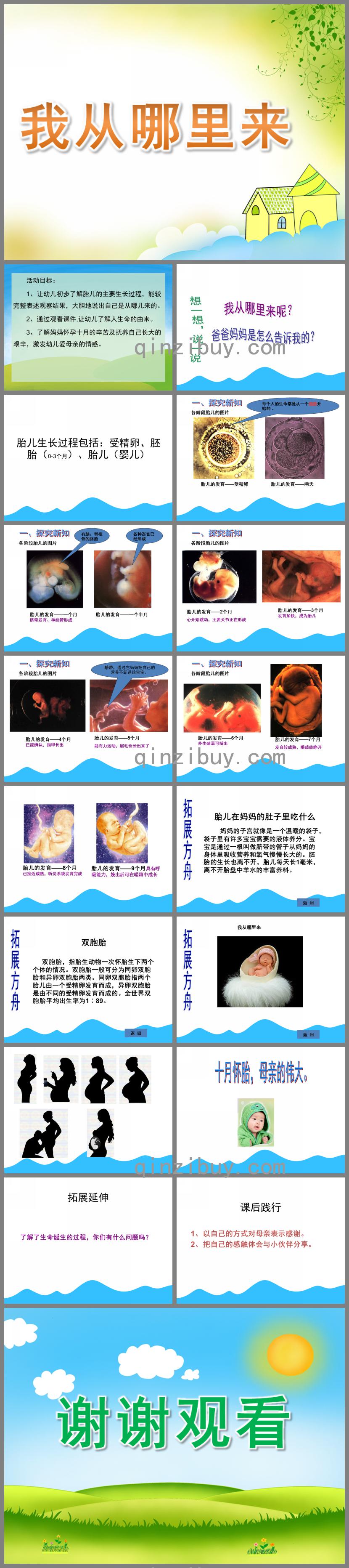 幼兒園科學(xué)我從哪里來PPT課件