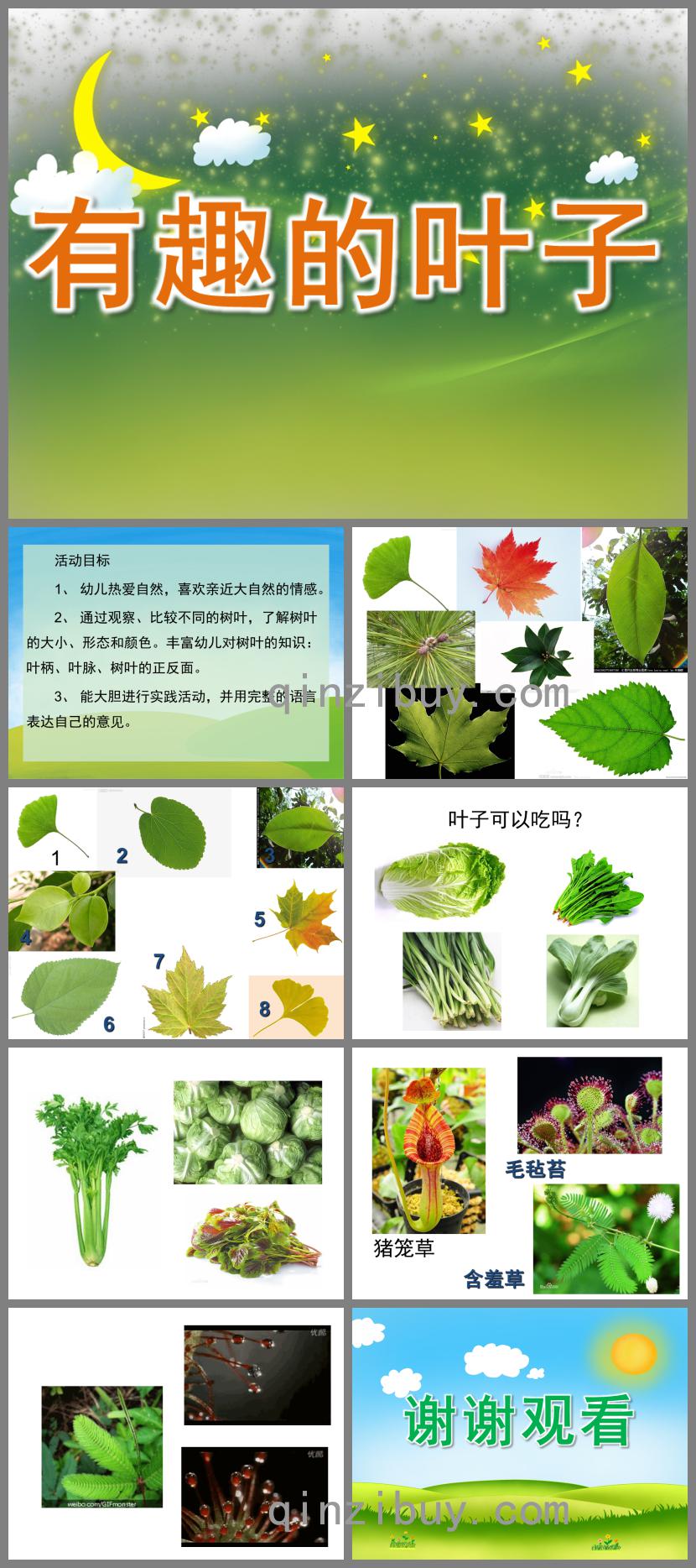 中班有趣的葉子PPT課件