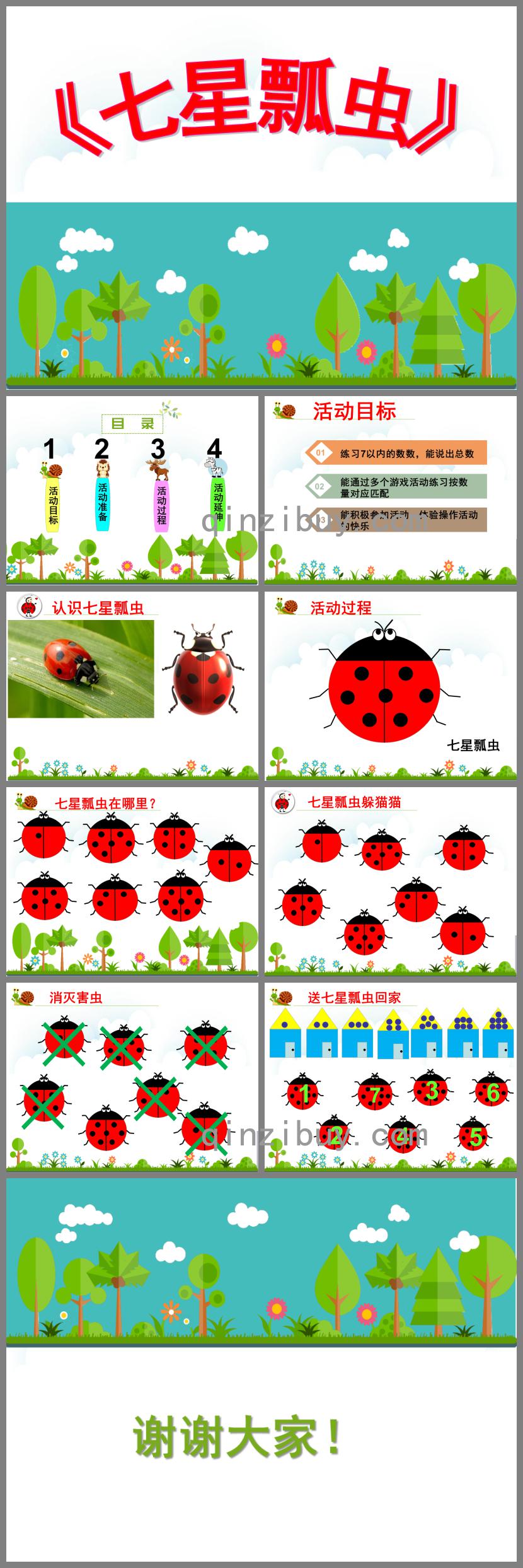 中班數學活動七星瓢蟲PPT課件