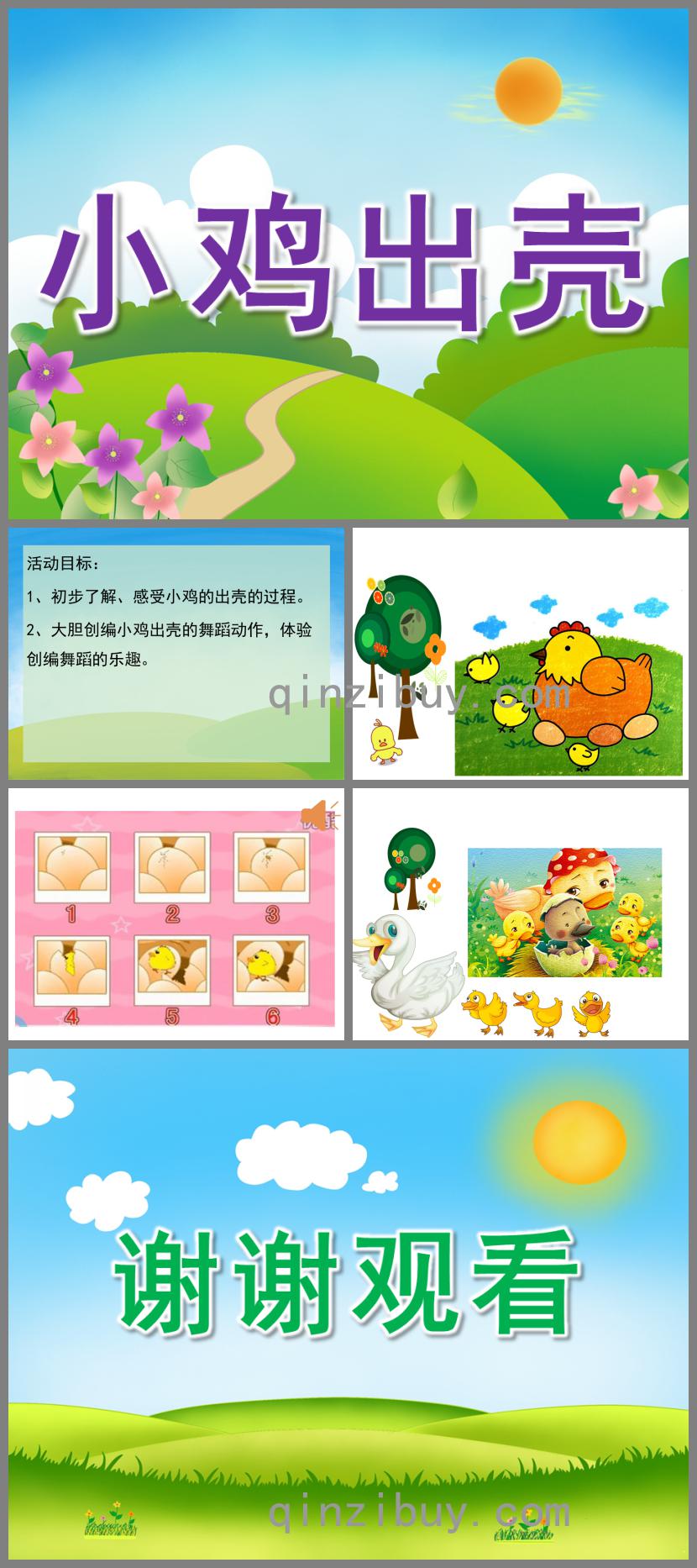 中班音樂律動(dòng)小雞出殼PPT課件歌曲