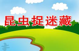 中班科學昆蟲捉迷藏PPT課件