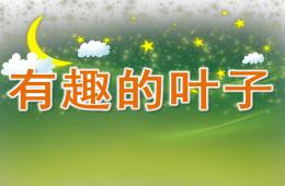 中班有趣的葉子PPT課件