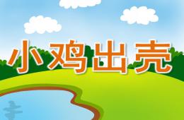 小班科學小雞出殼PPT課件