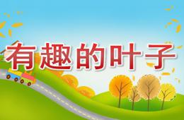 中班科學活動有趣的葉子PPT課件