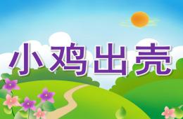 中班音樂律動小雞出殼PPT課件歌曲