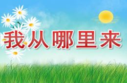 大班我從哪里來PPT課件