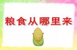 小班社會(huì)糧食從哪里來(lái)PPT課件