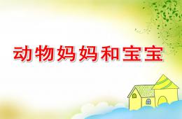 幼兒園科學動物媽媽和寶寶PPT課件