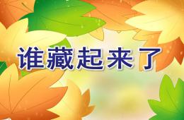 小班誰藏起來了PPT課件