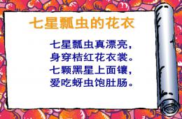 大班美術七星瓢蟲的花衣PPT課件
