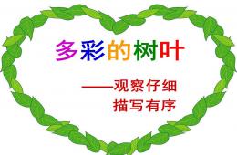 小班美術(shù)多彩的樹(shù)葉PPT課件