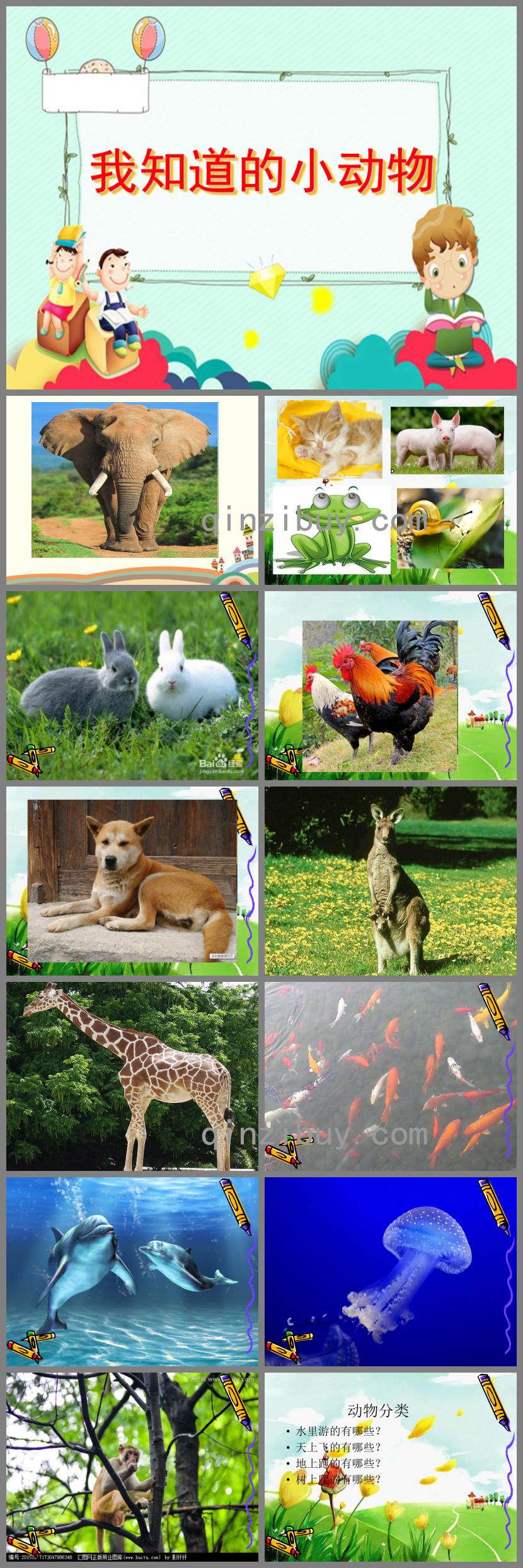 中班科學我知道的小動物PPT課件