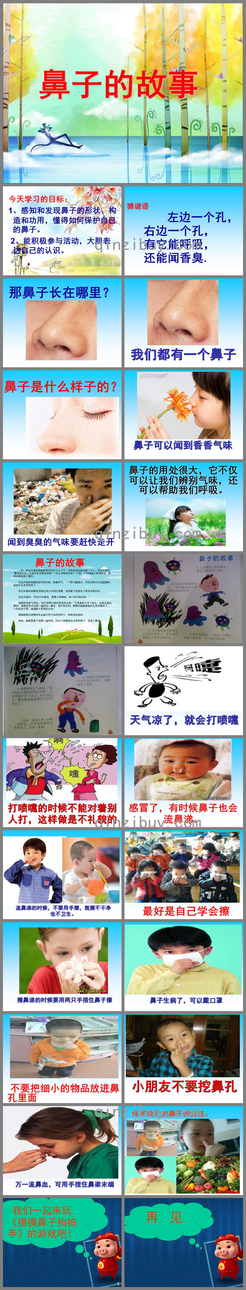 大班鼻子的故事PPT課件