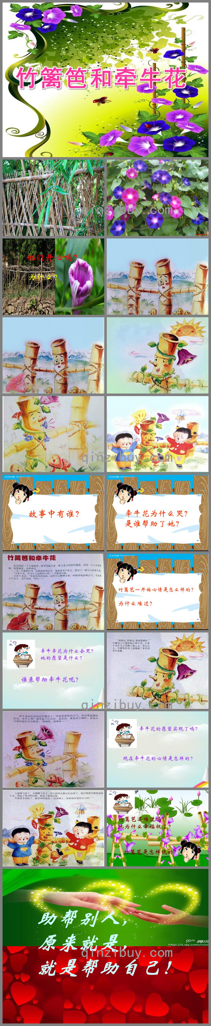 中班語言竹籬笆和牽牛花PPT課件