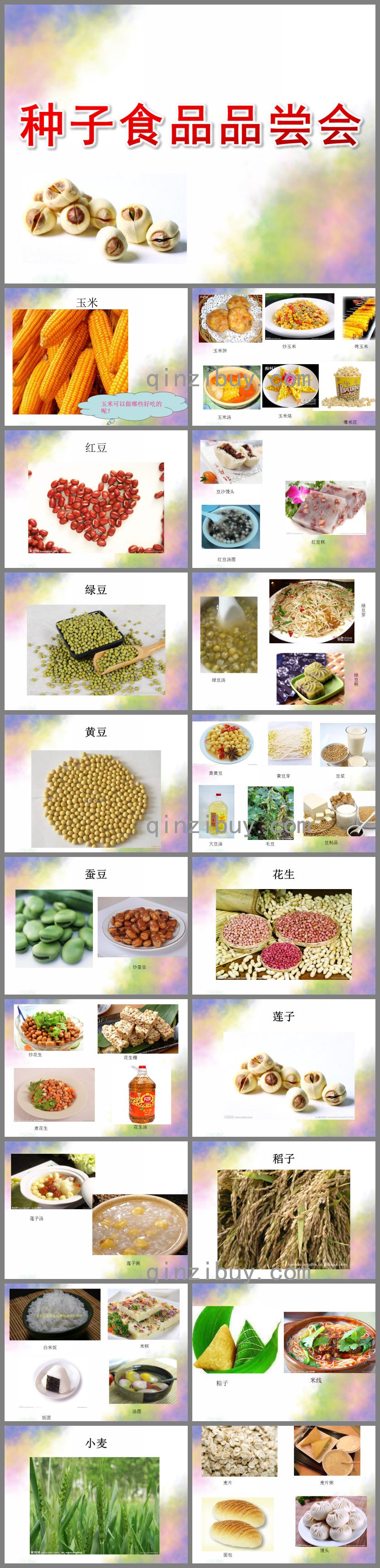 大班科學種子食品品嘗會PPT課件