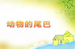 中班科學優質課動物的尾巴PPT課件