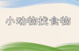 幼兒園小動(dòng)物找食物PPT課件