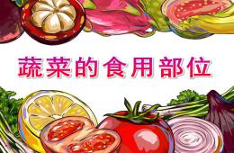 大班健康蔬菜的食用部位PPT課件