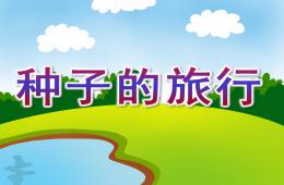 大班科學種子的旅行PPT課件