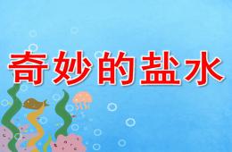 大班科學奇妙的鹽水PPT課件