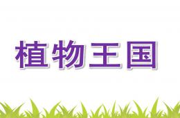 大班科學(xué)植物王國PPT課件