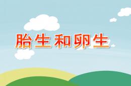 大班科學活動胎生和卵生PPT課件
