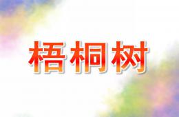 小班科學(xué)梧桐樹PPT課件