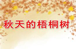 小班科學(xué)秋天的梧桐樹PPT課件