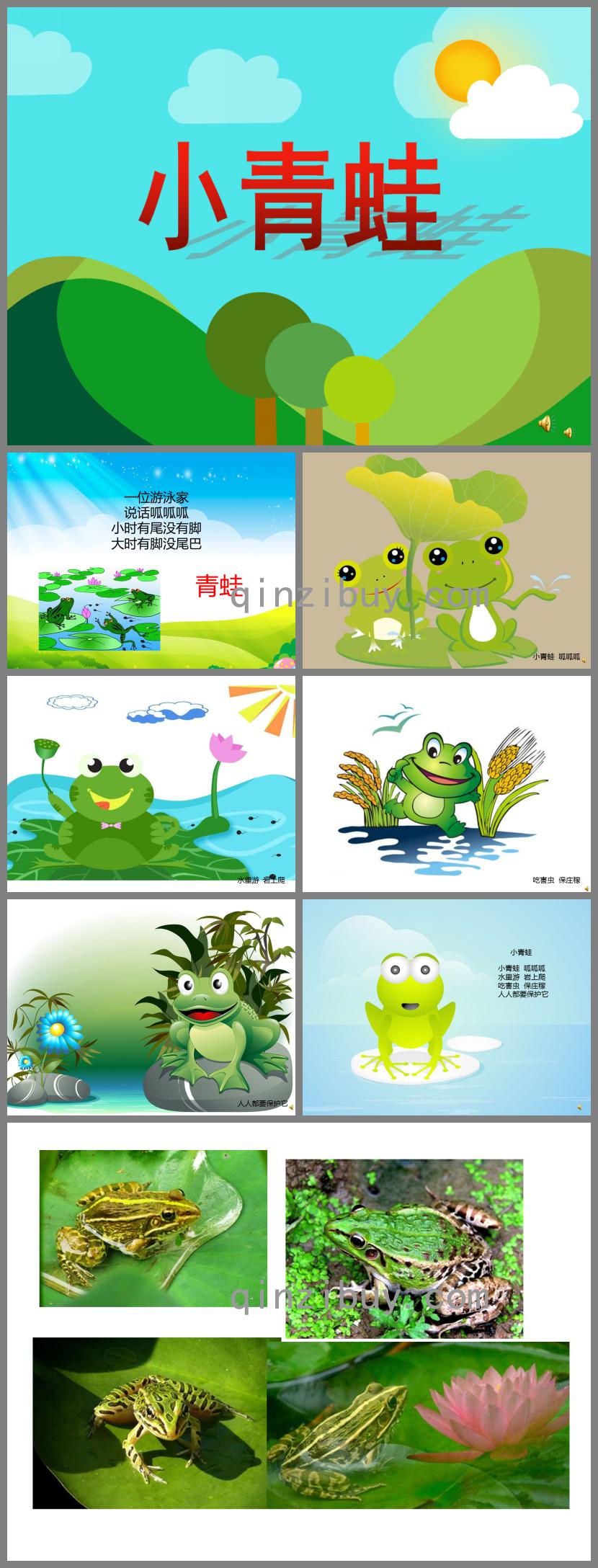 幼兒園動物兒歌小青蛙PPT課件配音音樂