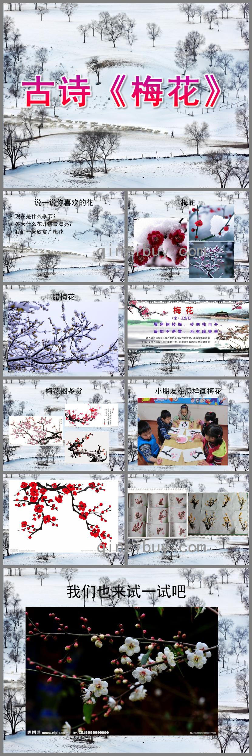 大班古詩梅花PPT課件