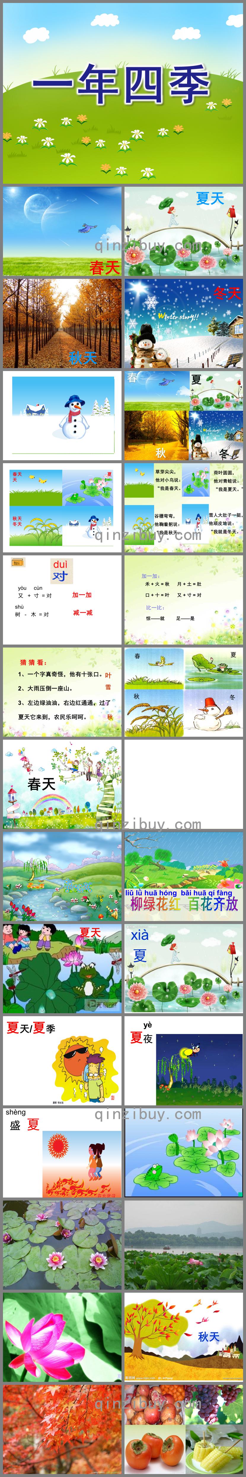 大班科學一年四季PPT課件