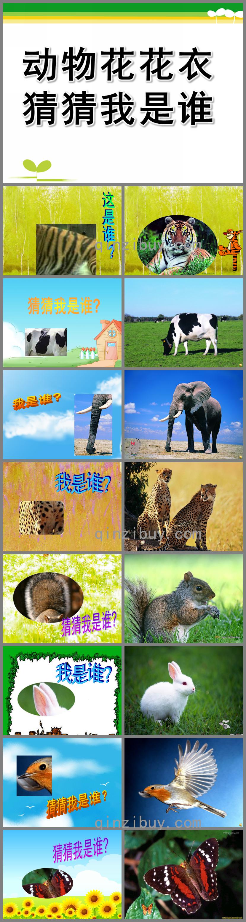 小班科學動物花花衣猜猜我是誰PPT課件音頻