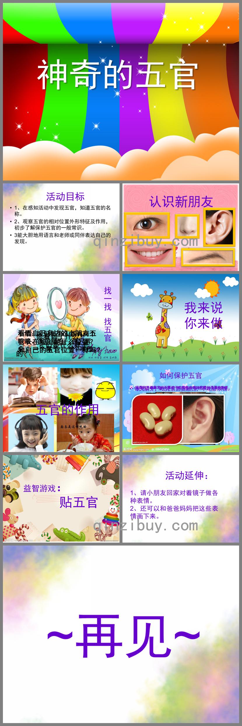 中班社會健康神奇的五官PPT課件
