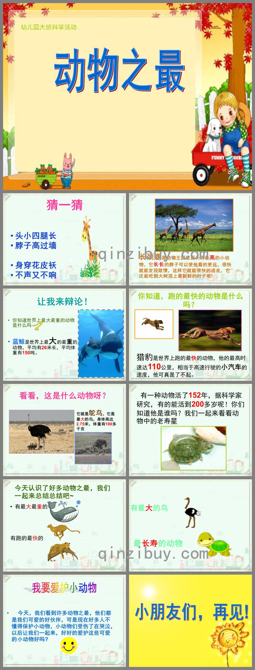 大班科學活動動物之最PPT課件