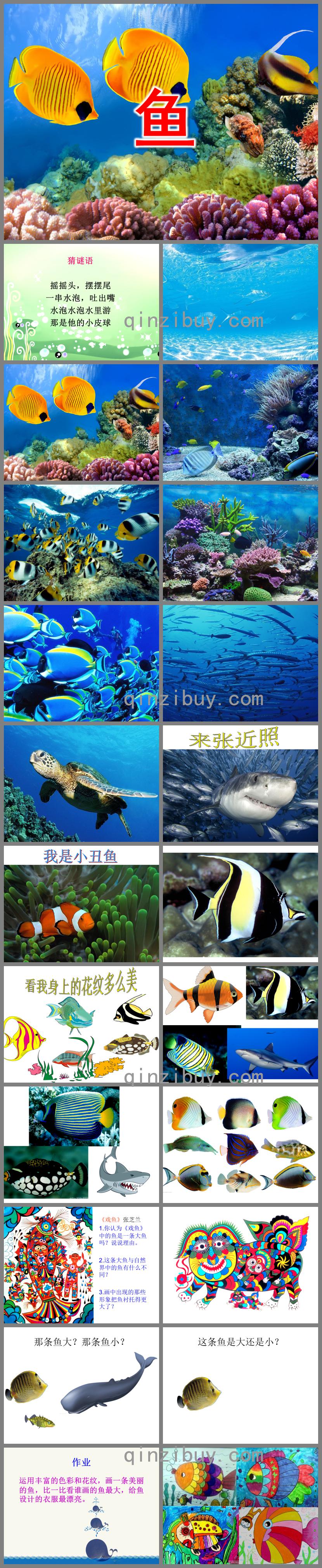 小班美術魚PPT課件