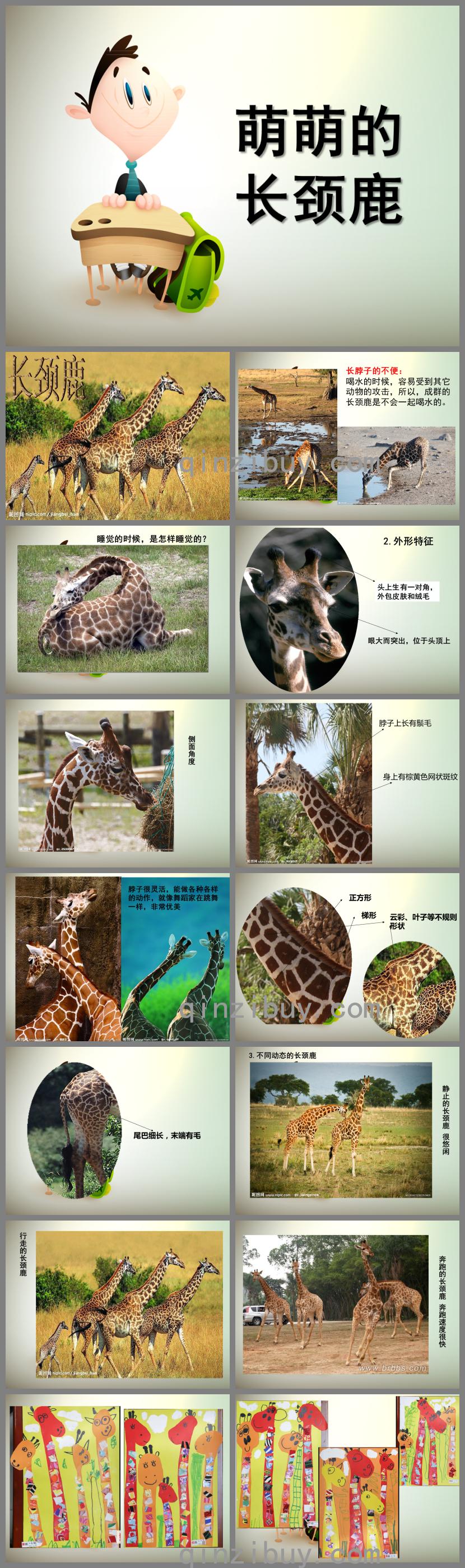 幼兒園美術教育萌萌的長頸鹿PPT課件