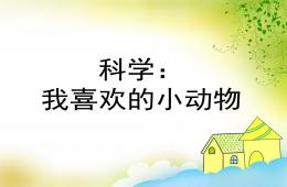 中班科學我喜歡的小動物PPT課件