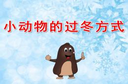 大班小動物的過冬方式PPT課件