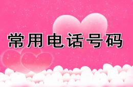 大班安全知識常用電話號碼PPT課件