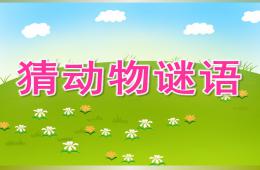 中班語言猜動(dòng)物謎語PPT課件
