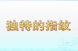 大班科學(xué)活動獨(dú)特的指紋PPT課件