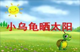 小班故事小烏龜曬太陽PPT課件配音音樂