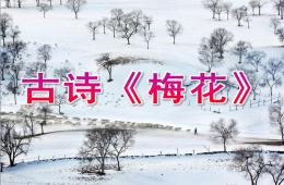 大班古詩梅花PPT課件