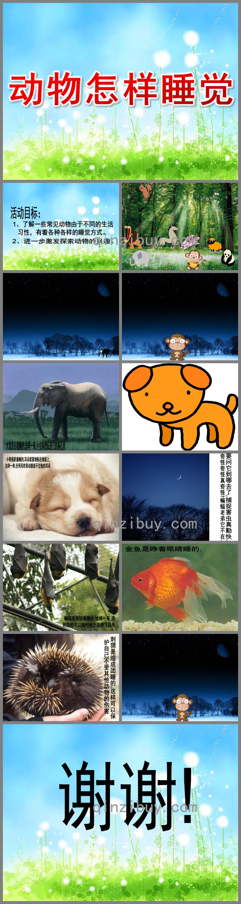 大班科學活動動物怎樣睡覺PPT課件
